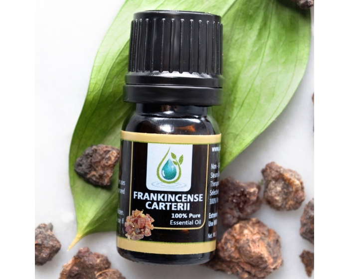 Frankincense Carterii 100% Pure Essential Oil 