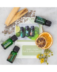 Back to School Kit - For Parents & Teachers