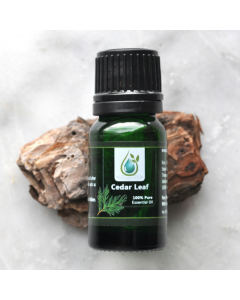 CLEARANCE - Cedar Leaf 100% Pure Essential Oil 