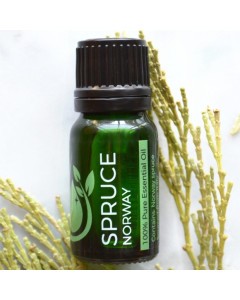 Norway Spruce 100% Pure Essential Oil 