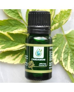Cardamom 100% Pure Essential Oil 