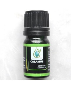 Calamus 100% Pure Essential Oil 