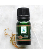 Caraway 100% Pure Essential Oil 