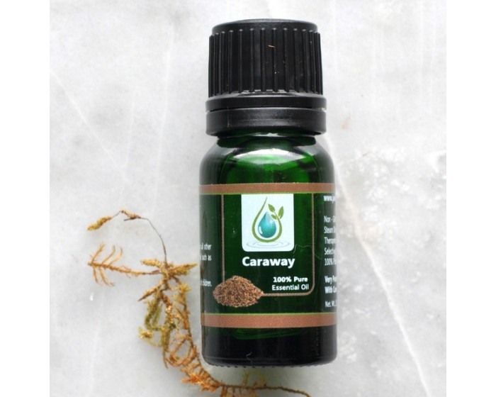 CLEARANCE - Caraway 100% Pure Essential Oil 