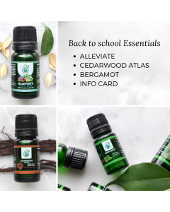 Back to School Essentials Kit (3 oils)