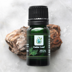 Cedar Leaf 100% Pure Essential Oil 