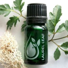 Laurel Leaf 100% Pure Essential Oil 