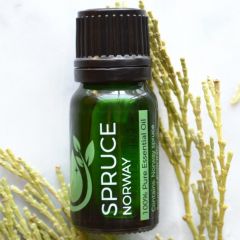 Norway Spruce 100% Pure Essential Oil 
