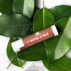 Lip Balm (100% Natural)- PROTECT Immunity Blend