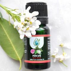 FOCUS - Brain Health Oil Blend
