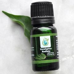 Eucalyptus Radiata 100% Pure Essential Oil 