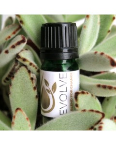 EVOLVE - A Blend for Change 5ml