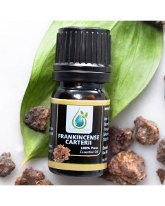 Frankincense Carterii 100% Pure Essential Oil