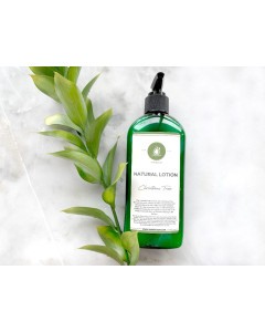 Oil Infused Lotion - 7 Scents-80z - CHRISTMAS TREE - Holiday Blend