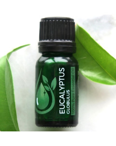 Eucalyptus Globulus 100% Pure Essential Oil