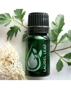 Laurel Leaf 100% Pure Essential Oil