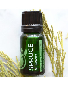 Norway Spruce 100% Pure Essential Oil