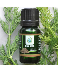Dill Seed 100% Pure Essential Oil