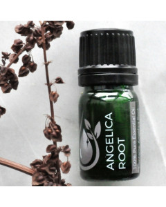 Angelica Root 100% Pure Essential Oil