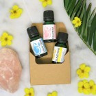 Summer Box Set