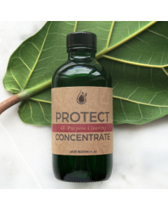 Cleaning Concentrate - PROTECT