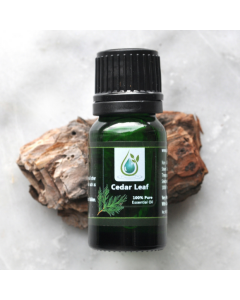 Cedar Leaf 100% Pure Essential Oil 