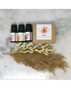 Fall Box Set: Includes Pumpkin Spice blend, Candy Apple blend, and Chai Spice Blend