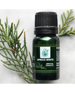 White Spruce 100% Pure Essential Oil 