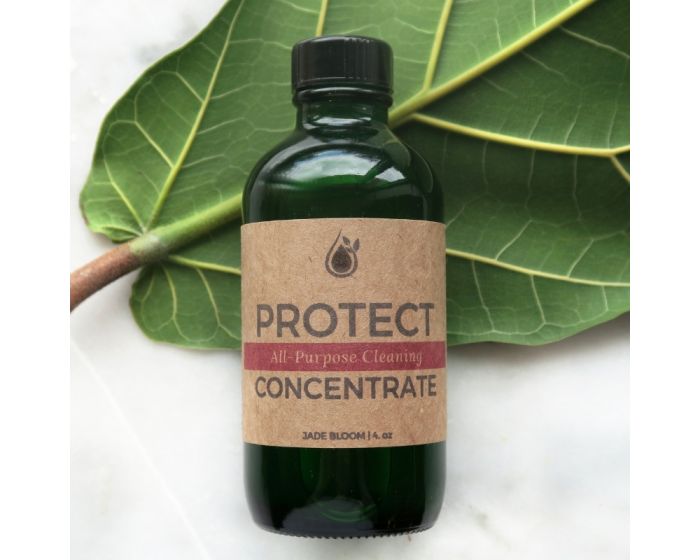 Cleaning Concentrate - PROTECT