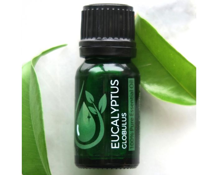 Eucalyptus Globulus 100% Pure Essential Oil 