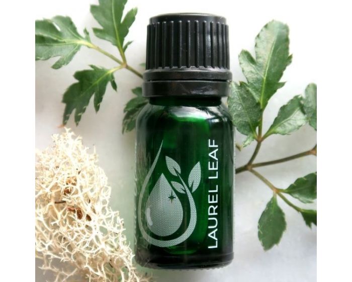 Laurel Leaf 100% Pure Essential Oil 