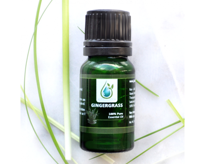 Gingergrass 100% Pure Essential Oil 