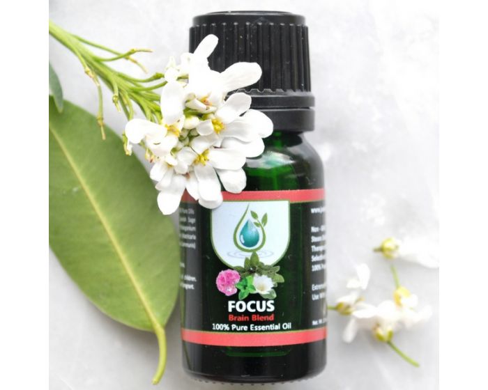 FOCUS - Brain Health Oil Blend