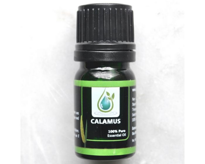 Calamus 100% Pure Essential Oil 