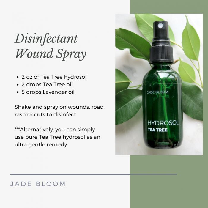 Tea Tree Hydrosol/Floral Water