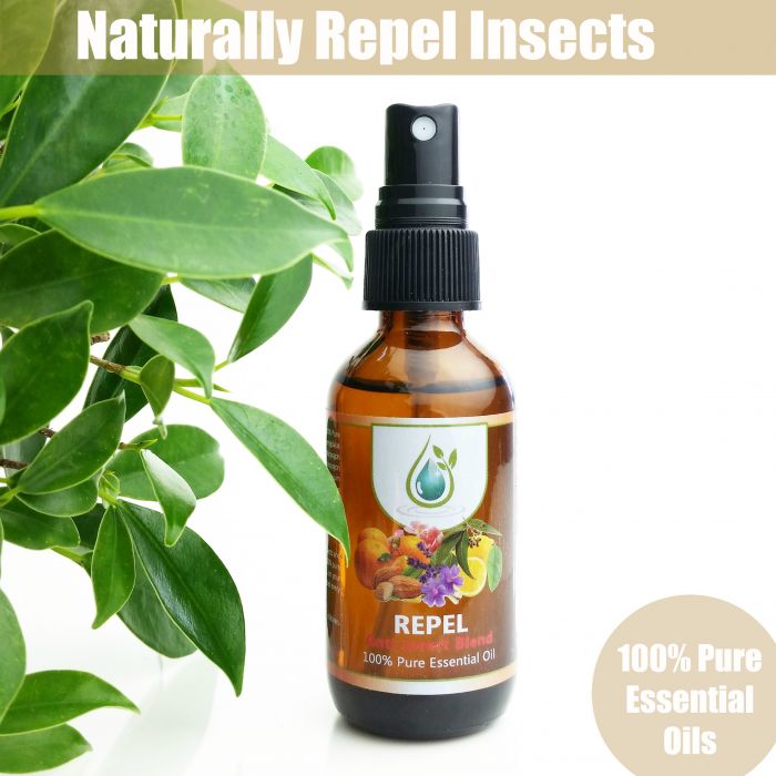 REPEL - Anti-Insect Oil Blend