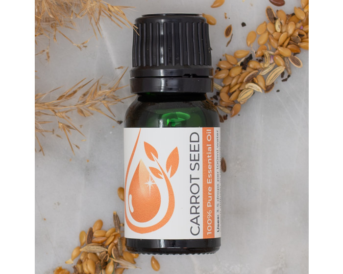 Carrot Seed 100% Pure Essential Oil