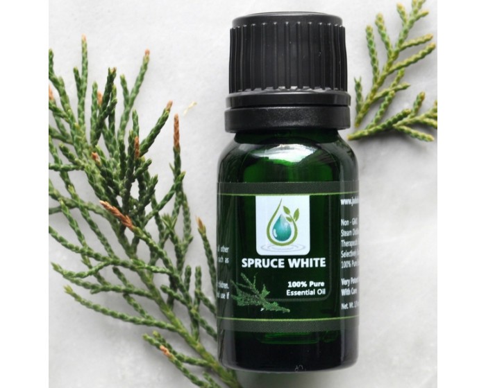 White Spruce 100% Pure Essential Oil 