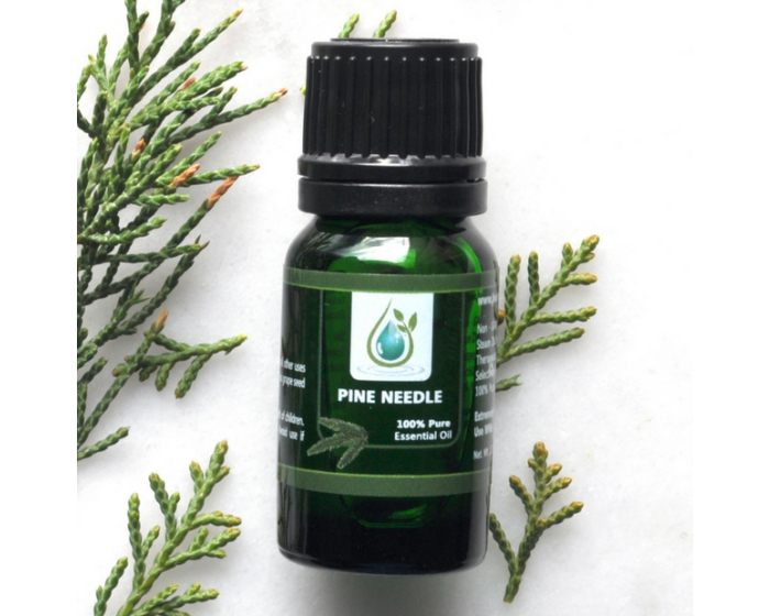 Pine Needle 100% Pure Essential Oil