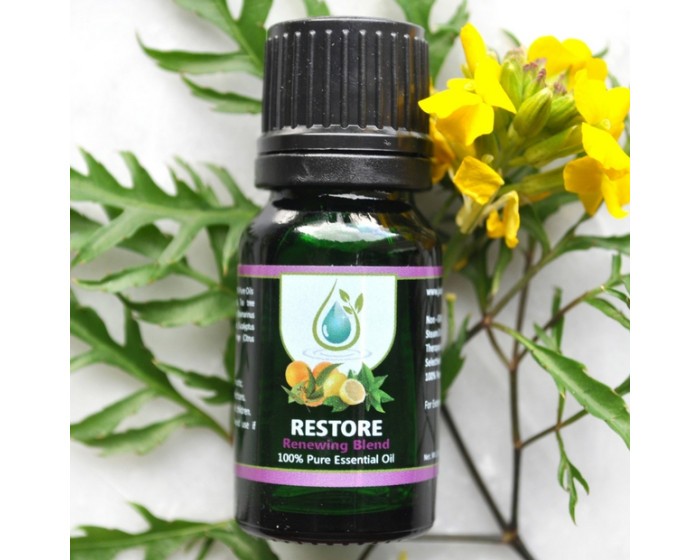 RESTORE - Renewing Oil Blend