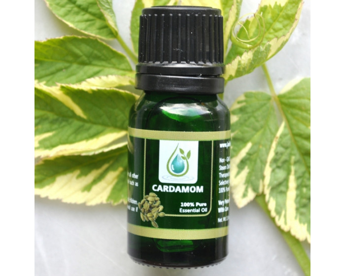 Cardamom 100% Pure Essential Oil