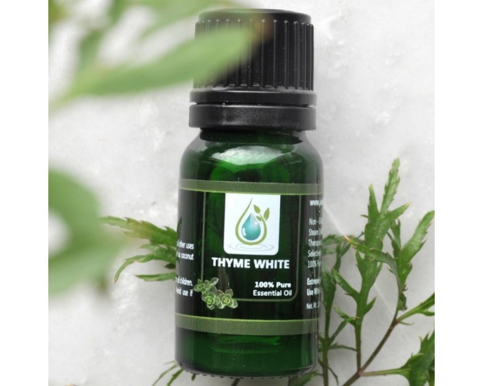 Thyme White 100% Pure Essential Oil 