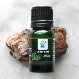 Leaf Cedar 100% Pure Essential Oil (Therapeutic Grade) | Jade Bloom