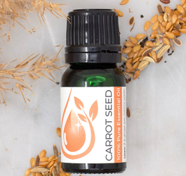 Carrot Seed Essential Oil vs Carrot Seed Carrier Oil