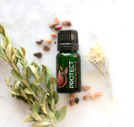 Meet Protect: The Botanical Blend Every Apothecary Needs (Yes, Even Yours)