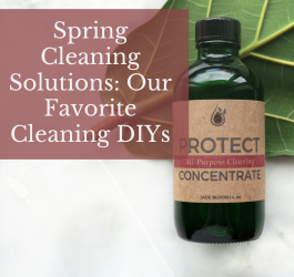 Spring Cleaning Solutions: Our Favorite Spring Cleaning DIYs for Greater Ease of Cleaning