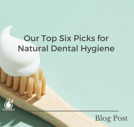 Our Top Six Picks for Natural Dental Hygiene