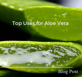 Top Uses For Aloe Vera You Didn’t Know About