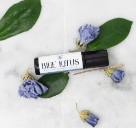 Blue Lotus: The Sacred Water Lily Egypt Couldn't Stop Talking About