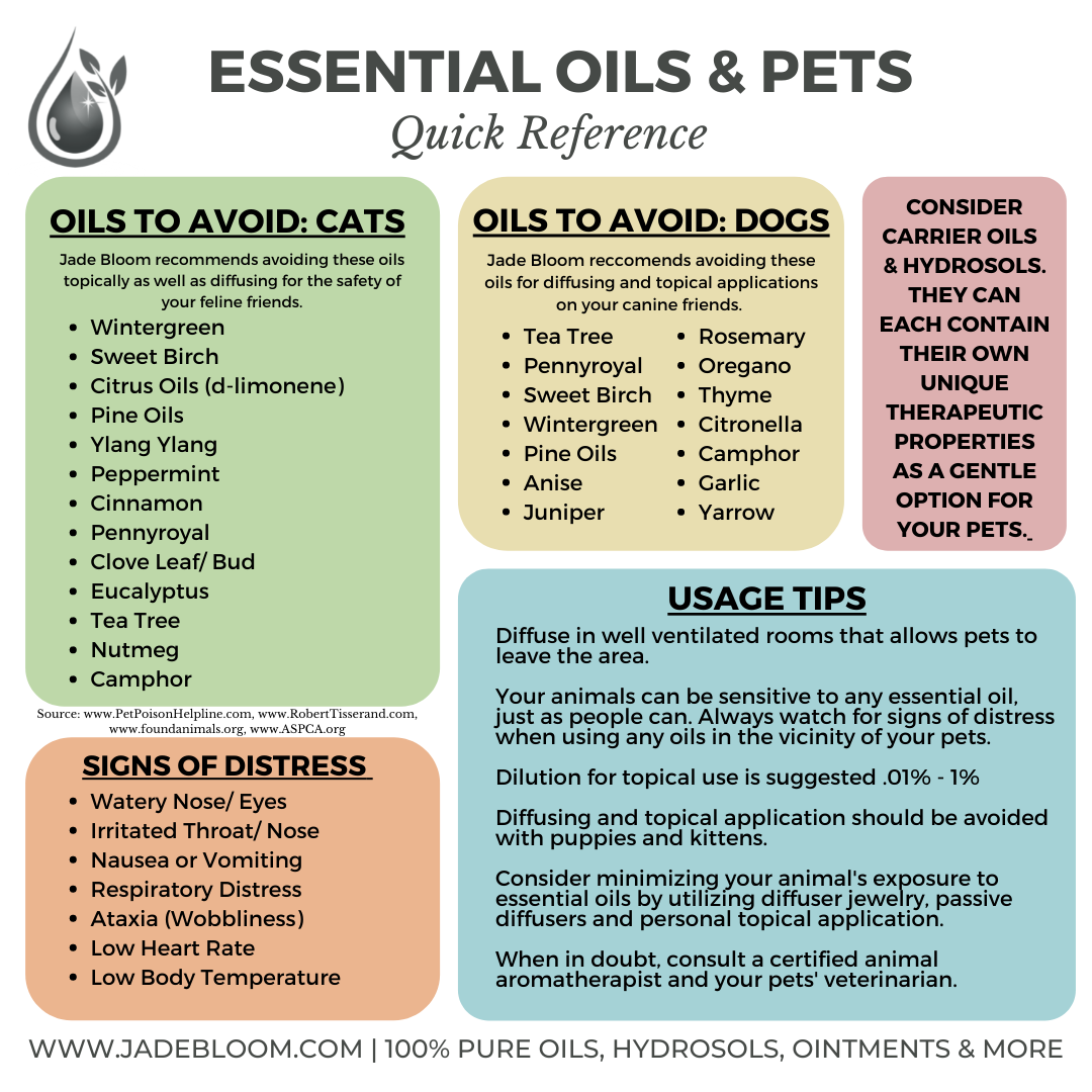 Citrus essential oil and dogs hotsell